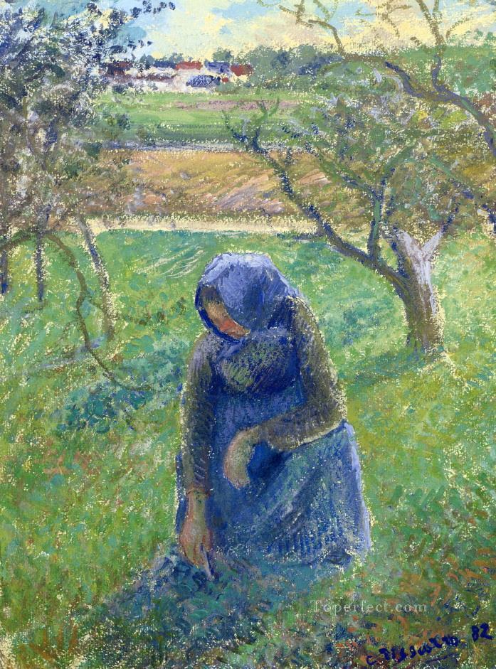 gathering herbs 1882 Camille Pissarro Oil Paintings